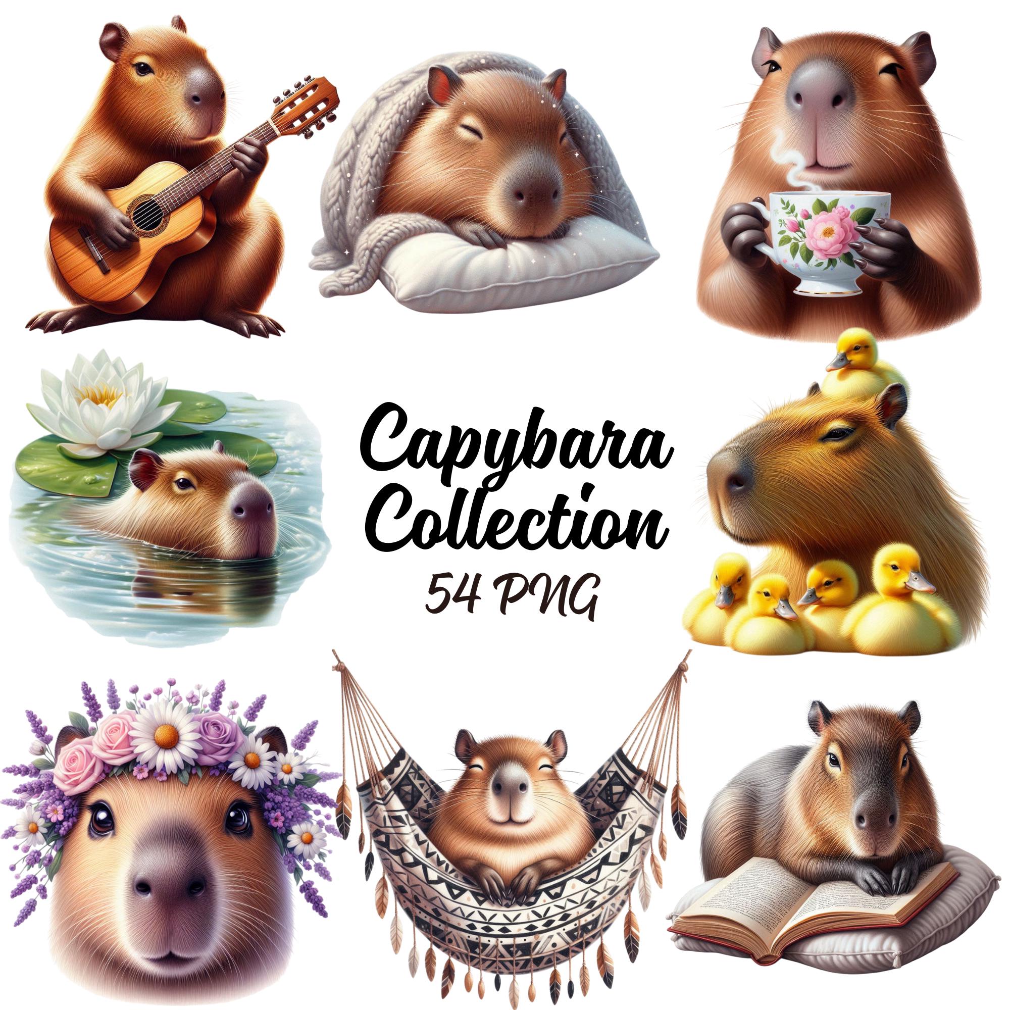 Capybara Collection Clipart - 54 PNG Cute Capybara Bundle, Flower ...