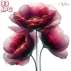 Image clipart abstrait coquelicot - 33 illustrations de fleurs exquises, journal indésirable, scrapbooking, fichiers JPG de haute qualité, fabrication de cartes, créations en papier
