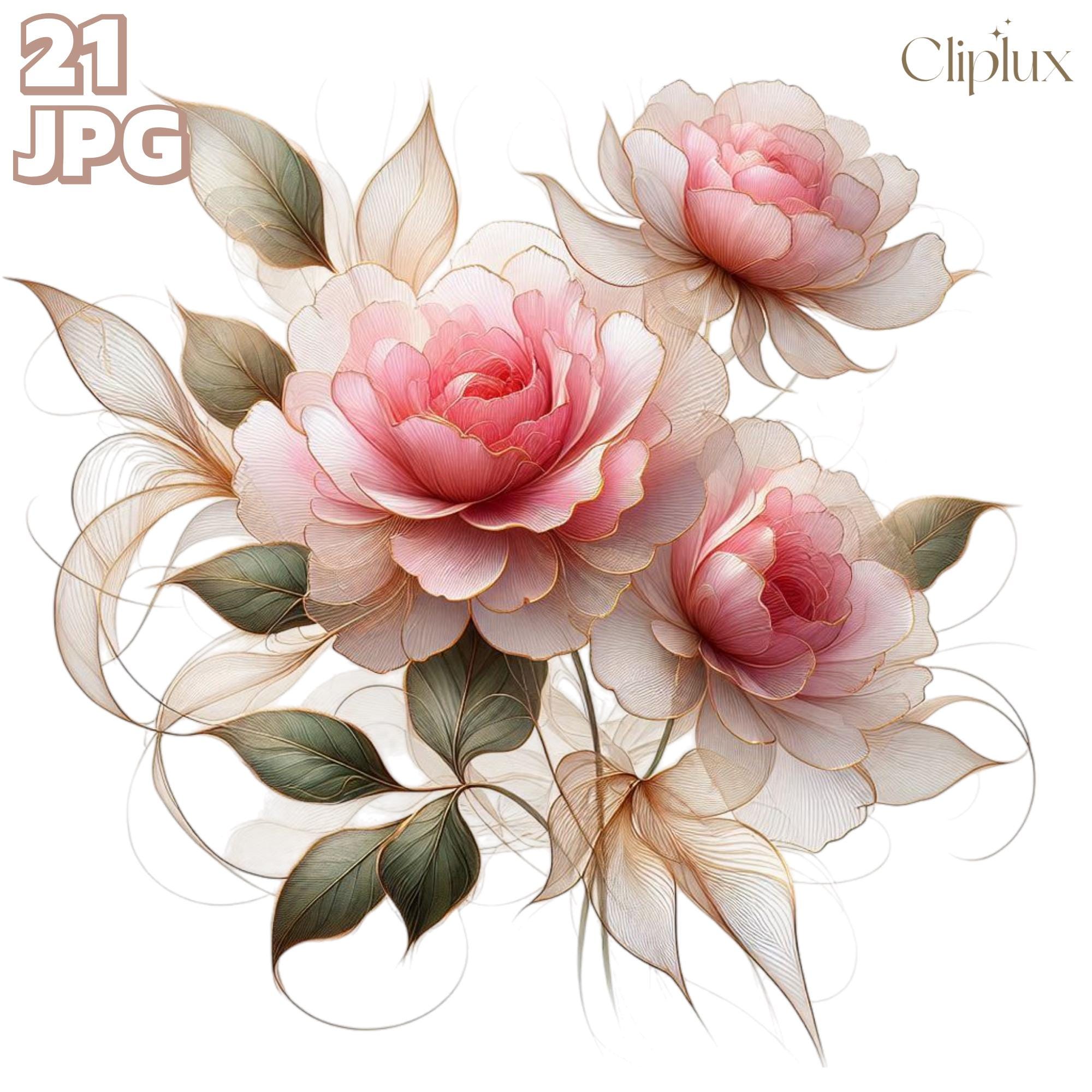 Pink Roses Clip Art Rounded Abstract Pink Roses Clip Art - 21 Exquisite Flower Illustration, Junk ...