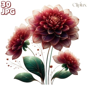Dahlia abstrait clipart - 30 illustrations de fleurs exquises, journal indésirable, scrapbooking, fichiers JPG de haute qualité, fabrication de cartes, créations en papier