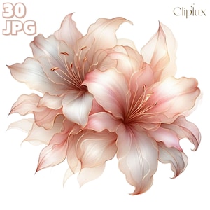 Image clipart abstrait lys - 30 illustrations de fleurs exquises, journal indésirable, scrapbooking, fichiers JPG de haute qualité, fabrication de cartes, créations en papier