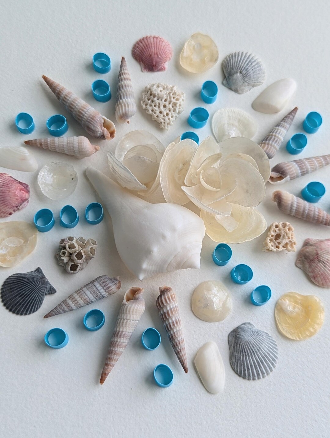 Sanibel Tides Handcrafted Seashell Art - Etsy