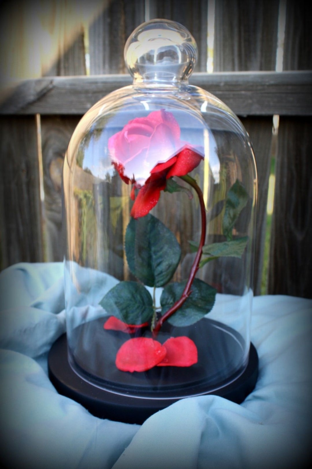 England Roses Prop Enchanted Rose Dome Life Size Prop Replica - Etsy