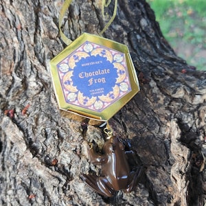 May include: A gold hexagonal box with the words "Honeydukes Chocolate Frog" and "100% Finest Croak" printed on it. A brown chocolate frog ornament hangs from the box.