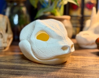 Blastoise - Handcrafted Skull Lantern - Tea Light Included