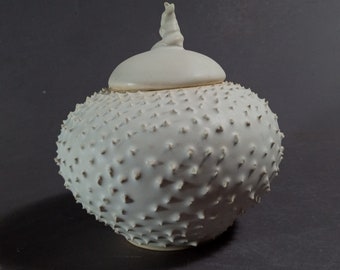 White jar, hand thrown jar, pottery, one of a kind