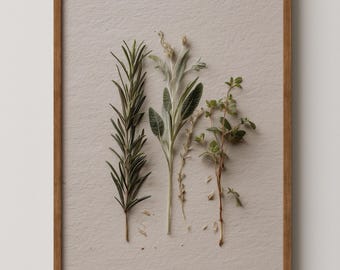 Kitchen Herb Wall Art, Rosemary Sage Thyme Pressed Botanical Poster, Neutral Farmhouse Herb Print Kitchen Dining Room Living Room Wall Decor