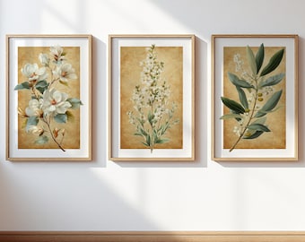 Vintage Botanical Wall Art Set of 3, Antique Floral Illustration Poster Set, Magnolia Olive Branch Cottagecore Living Room Bedroom Decor