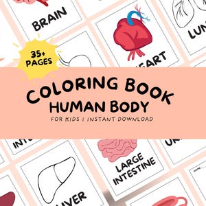 Human Body Coloring Book for Kids – Fun Anatomy Learning Pages | Educational Printable for Homeschool & Classroom