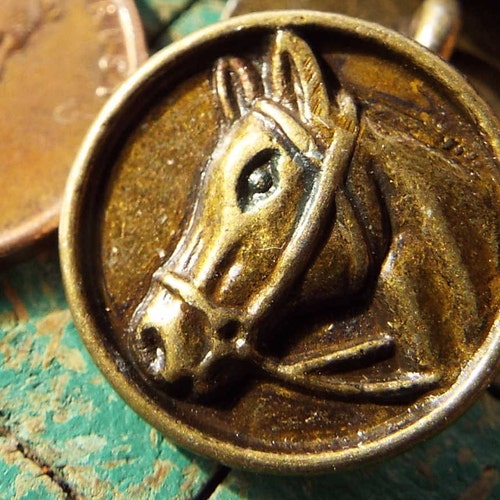 Horse Head Buttons 15 Count Horse in Bridle Bronze Tone Etsy