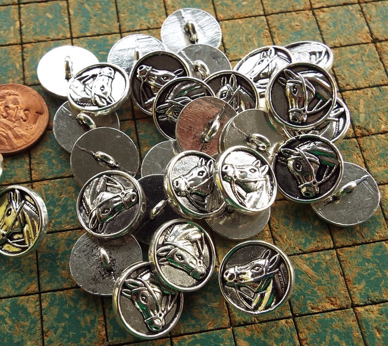 Horse Head Buttons 15 Count Horse in Bridle Silver Tone Etsy
