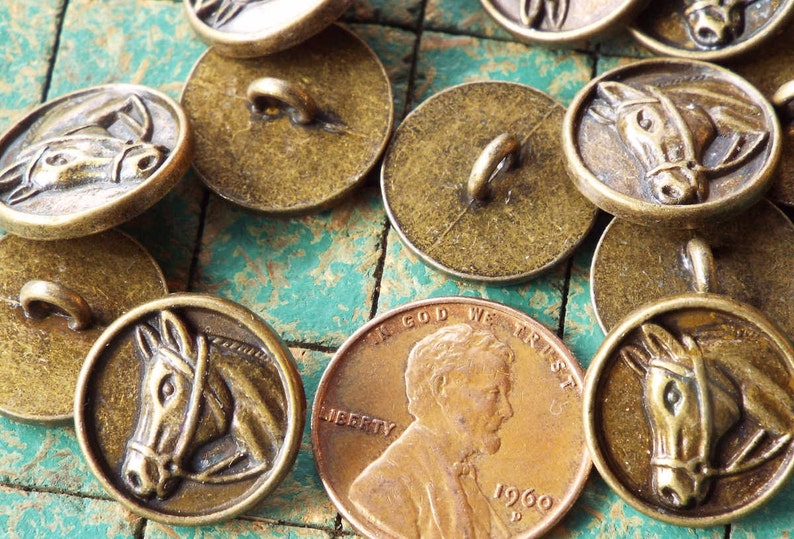 Horse Head Buttons 15 Count Horse in Bridle Bronze Tone Etsy