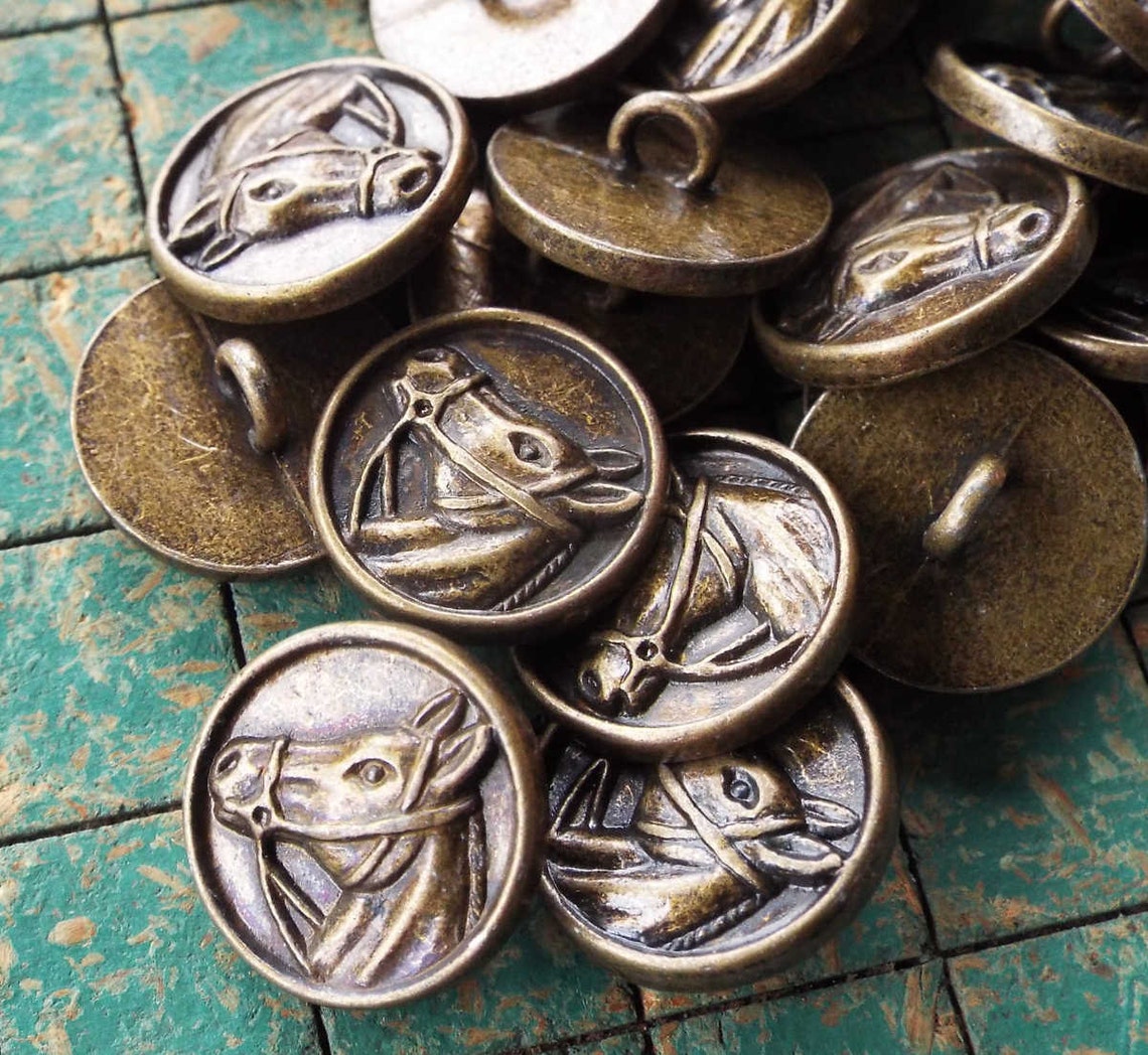 Horse Head Buttons 15 Count Horse in Bridle Bronze Tone Etsy