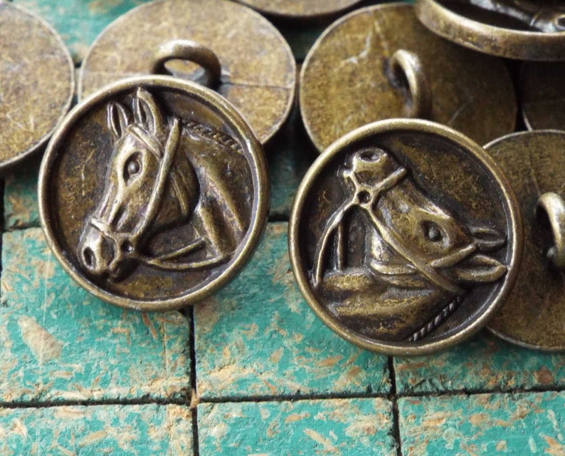 Horse Head Buttons 15 Count Horse in Bridle Bronze Tone Etsy Singapore