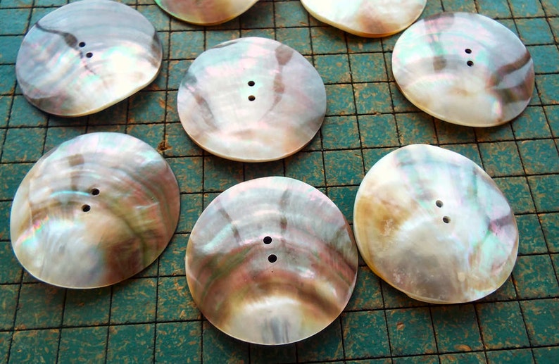 2 inch 4 Extra Large Shell Buttons 5cm