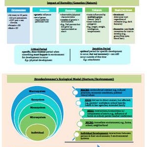 May include: A diagram illustrating the impact of heredity and genetics (nature) on development, with sections on chromosomes, recessive, dominant, polygenic, and single-gene traits. The diagram also includes a section on critical and sensitive periods. The second part of the diagram shows Bronfenbrenner's Ecological Model (nurture/environment) with concentric circles representing the macrosystem, exosystem, mesosystem, microsystem, and individual. The diagram also includes a section on chronosystem, which shows the influence of time on development.