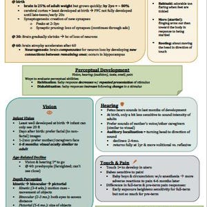 May include: A colorful chart outlining the development of the brain, vision, hearing, touch and pain, and early reflexes in infants and adolescents. The chart includes information about the stages of development, key milestones, and age-related changes.