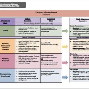 May include: A chart titled "Patterns of Attachment" by Ainsworth, showing different attachment styles and their corresponding infant reactions, caregiver styles, and adult attachment interview responses. The chart is divided into four columns: Attachment Style, Infant Reaction, Caregiver Style, and Adult Attachment Interview. Each column has four rows: Secure, Anxious/Ambivalent, Anxious/Avoidant, and Disorganized/Disoriented.