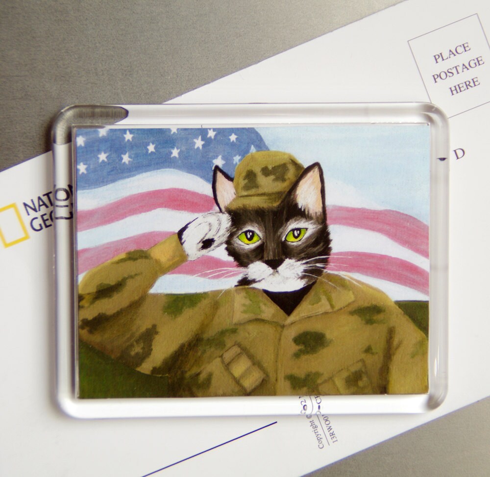  ARMY  Cat  Magnet Cat  Wearing American Military  Uniform  