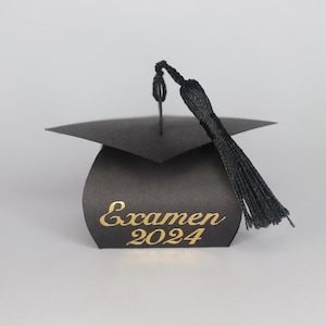 Master 2025 Bachelor Abitur Doctor Examen Geld Geschenk Geschenkdoos Doctoraal Hoed Universiteit School Afstuderen Universiteit Afstuderen