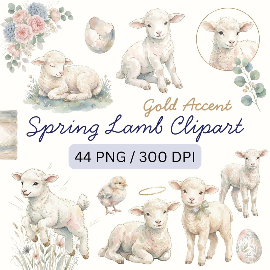 Spring Lamb Clipart PNG Bundle, Watercolor Baby Sheep With Gold Accents ...