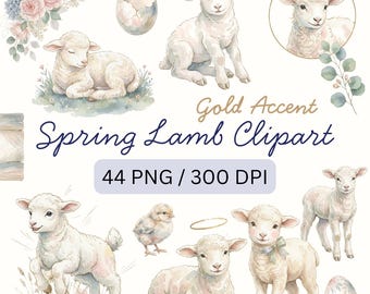 Spring Lamb Clipart PNG Bundle, Watercolor Baby Sheep with Gold Accents, Floral Pastel Clipart, Nursery Art, Sublimation, Cricut
