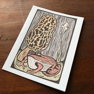 Frog y Morel 5-Pack tarjetas de felicitación en blanco con sobres kraft marrones