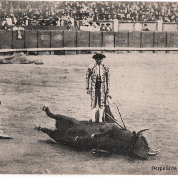 Rare 1924 Toros Real Photo Bullfighting Postcard 12