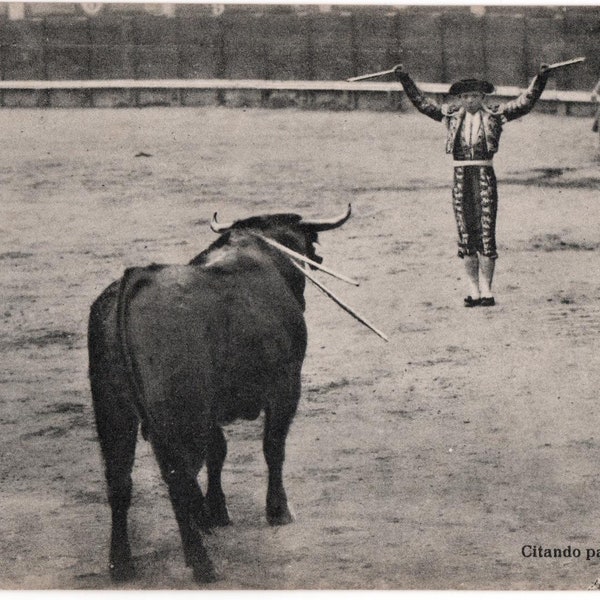 Rare 1924 Toros Real Photo Bullfighting Postcard 08