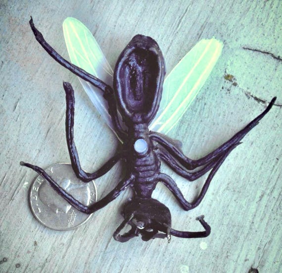 Vintage 1960s HUGE Rubber WINGED ANT - Etsy