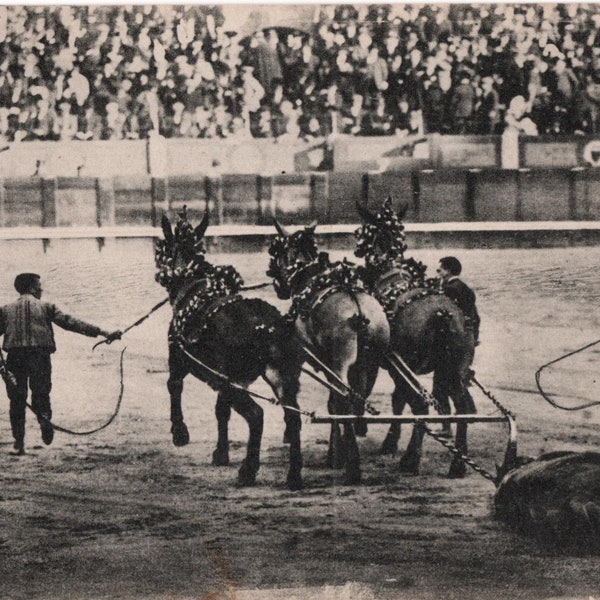 Rare 1924 Toros Real Photo Bullfighting Postcard 18