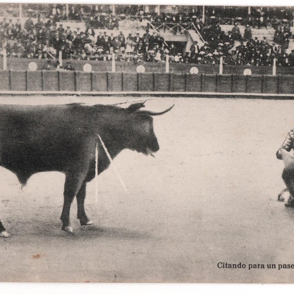 Rare 1924 Toros Real Photo Bullfighting Postcard 04