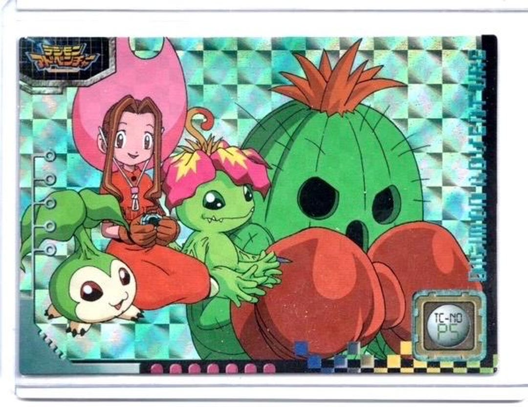 digimon adventure cards Bicycle Playing [Japan Import]  Digimon Adventure 02 1999 JAPAN Digimon Adventure Series