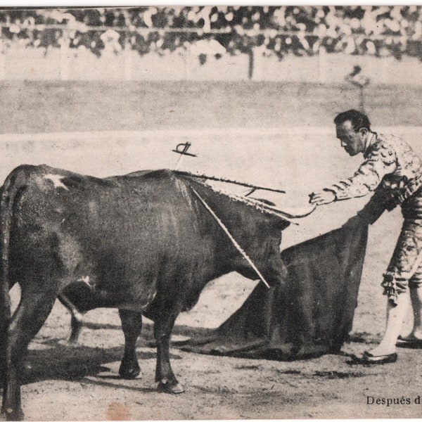 Rare 1924 Toros Real Photo Bullfighting Postcard 09