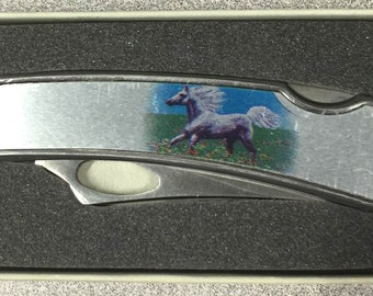 1980s Pam Essex WILD HORSE Art Knife by Taylor USA