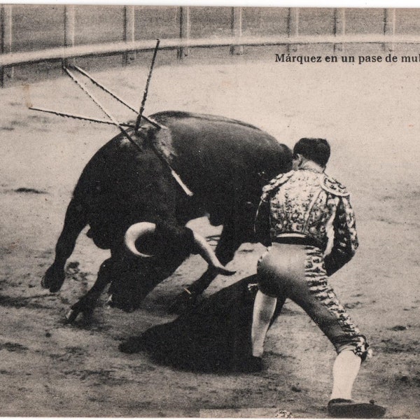 Rare 1924 Toros Real Photo Bullfighting Postcard 10