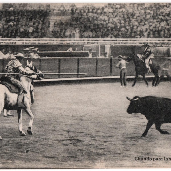 Rare 1924 Toros Real Photo Bullfighting Postcard 05
