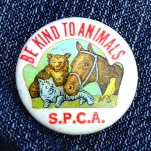 May include: A white button with red text that reads "Be Kind to Animals" and "S.P.C.A."  The button features a cartoon illustration of a horse, a cat, a bear, and a yellow bird.