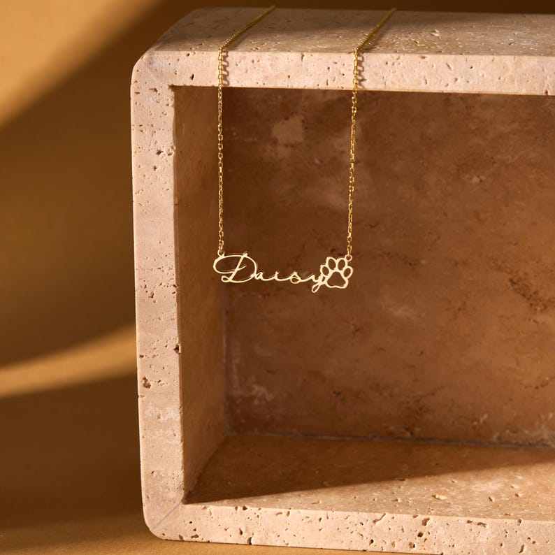 Pu&ograve; includere: Una collana color oro con il nome "Daisy" in corsivo e un ciondolo a forma di zampa. La collana &egrave; appesa su uno sfondo dai toni neutri, mettendo in risalto il delicato design della catena e del ciondolo.