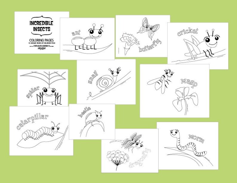 Download Coloring Pages Incredible Insects Cricket Downloadable pdf | Etsy