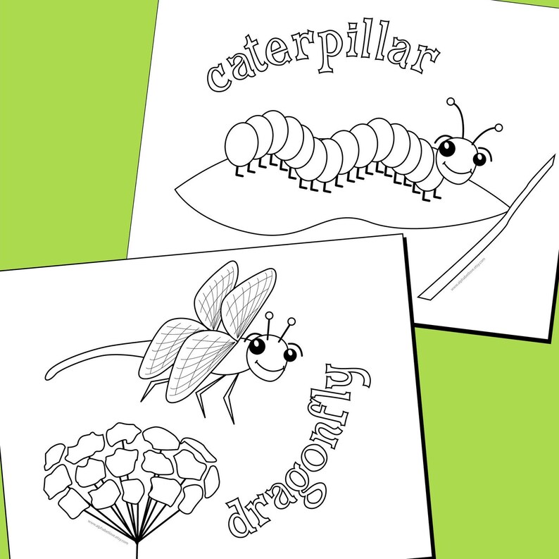 Download Coloring Pages Incredible Insects Cricket Downloadable pdf ...