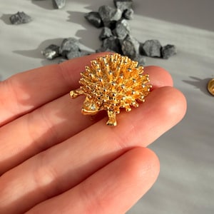 Peut inclure: Une broche en forme de hérisson doré avec un dos texturé et épineux, ainsi qu'une petite pierre claire à facettes en guise d'œil. La surface métallique présente une finition polie et réfléchissante, représentant l'animal de profil.
