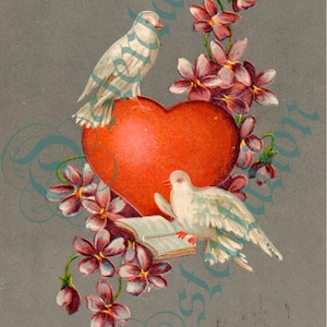 Cartão postal vintage do Dia dos Namorados - Arquivo digital - Pombas, Coração, Flores, Livro