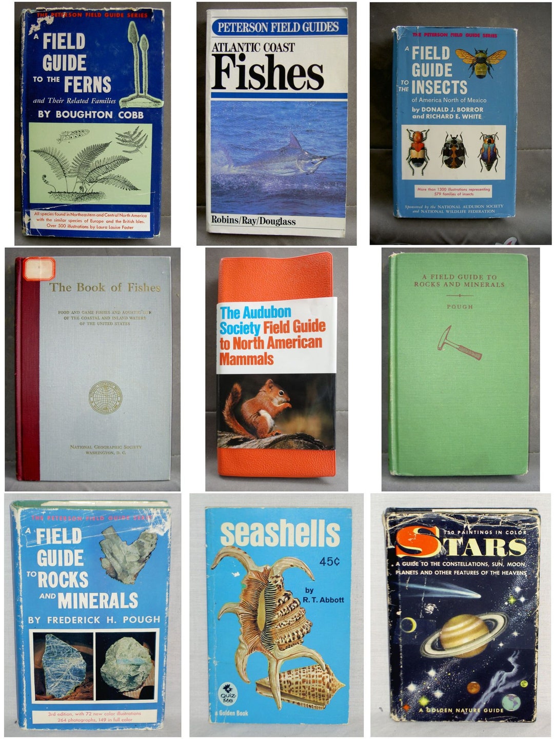 Old Nature Guide Nature Guides From the 1950s Through the 1980s (vintage) - Etsy