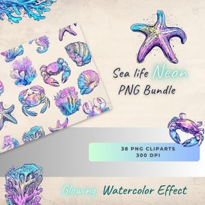 Puede incluir: Un paquete de arte digital con ilustraciones de acuarela de vida marina. La imagen incluye una estrella de mar, cangrejos, conchas marinas y coral en colores neón. El texto en la imagen dice "Sea life Neon PNG Bundle" y "Glowing Watercolor Effect."