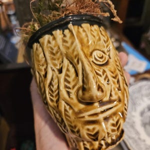 Puede incluir: Una maceta de cerámica marrón en forma de rostro con un detallado patrón de hojas. La maceta tiene un borde oscuro y está llena de musgo verde y material vegetal seco. La cara tiene una nariz, un ojo y una boca prominentes.