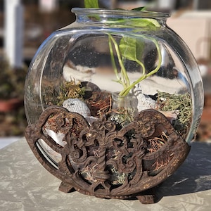 Puede incluir: Un terrario de vidrio transparente con una planta verde frondosa en su interior, sentado sobre un soporte de metal decorativo. El terrario está lleno de musgo, piedras y otros elementos naturales.