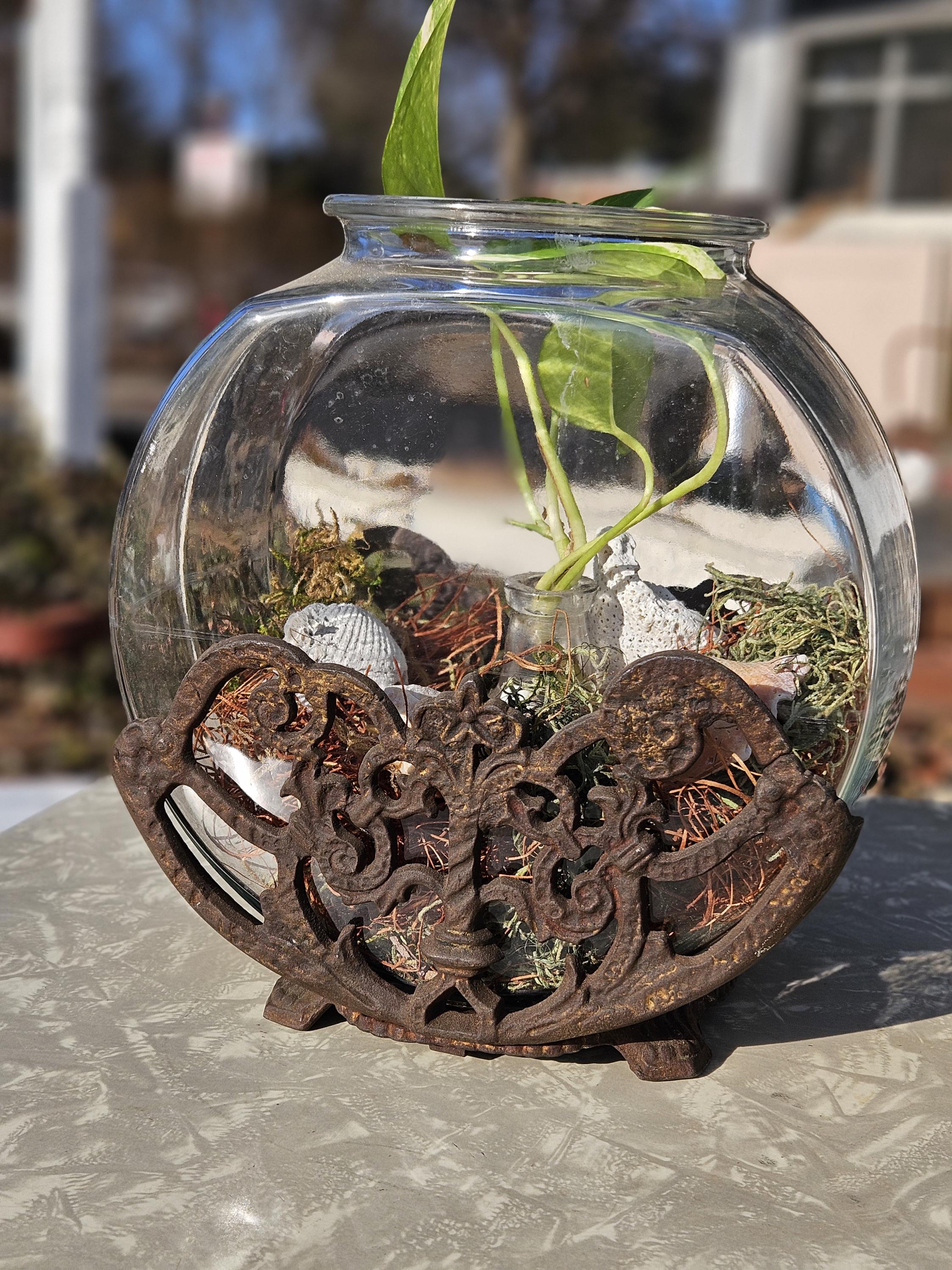 古い大きなガラス水槽 アンティーク Victorian Antique Fish Tank - Etsy