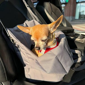 2-in-1 Dog Car Seat & Travel Carrier