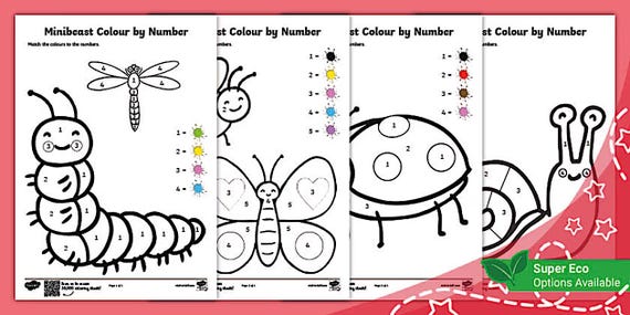 Minibeasts Colour by Numbers